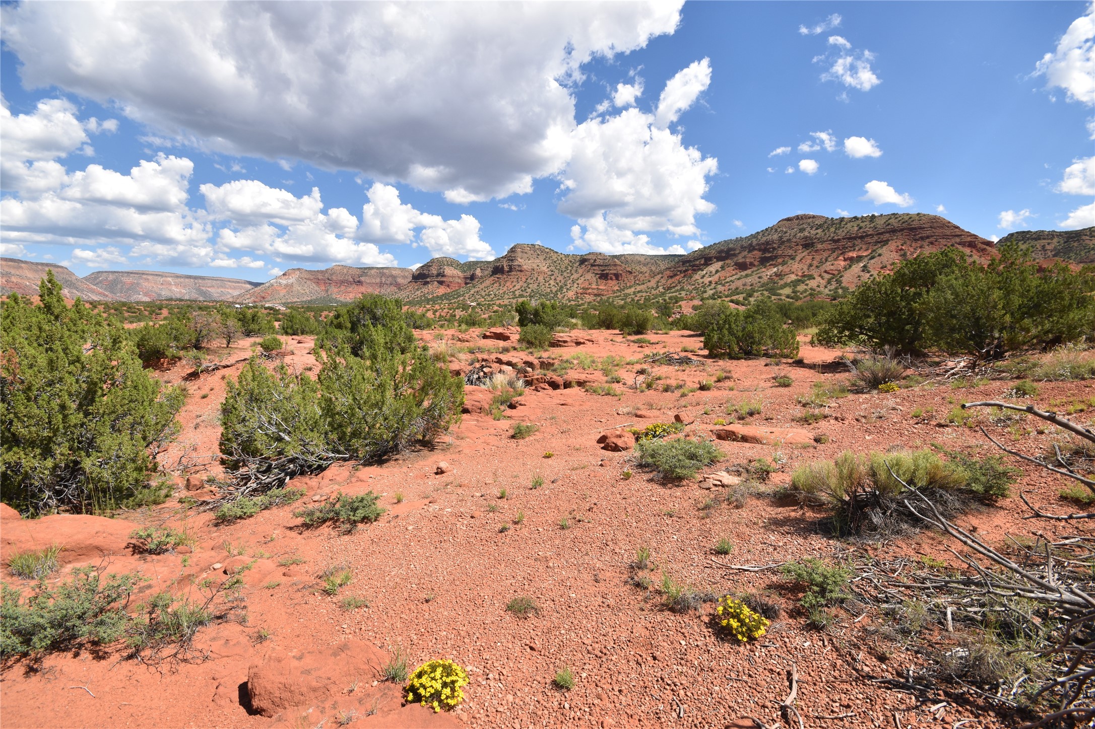 Lot 16 Camino Amarillo, Jemez Pueblo, New Mexico image 17