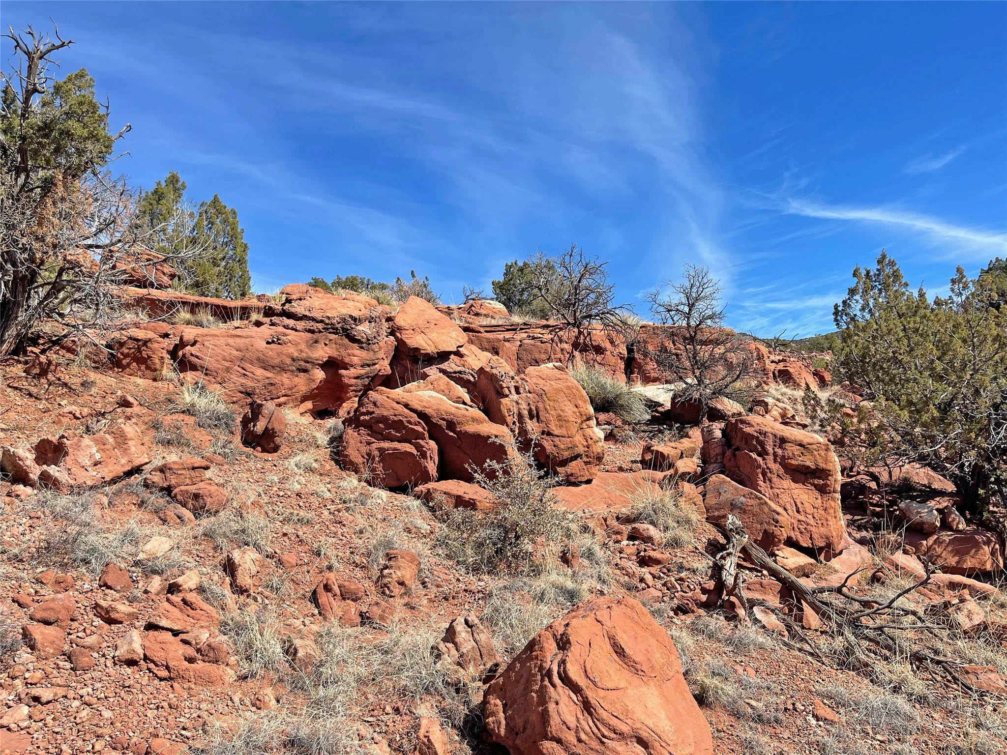 Lot 16 Camino Amarillo, Jemez Pueblo, New Mexico image 9