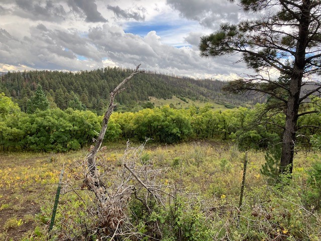 Tract 1 La Sierra Road, Holman, New Mexico image 8