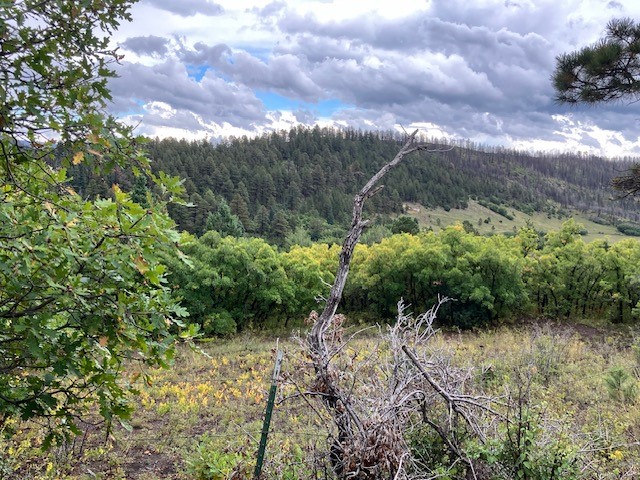 Tract 1 La Sierra Road, Holman, New Mexico image 16