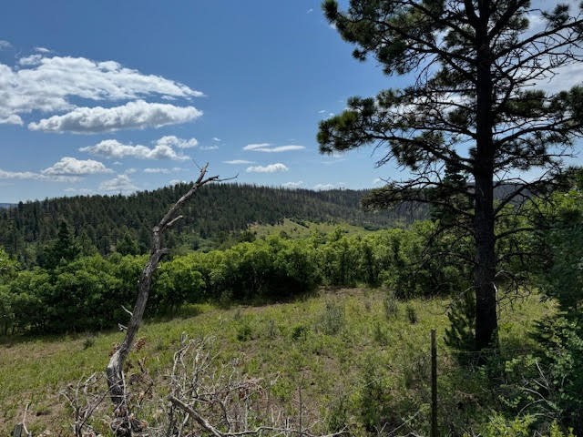 Tract 1 La Sierra Road, Holman, New Mexico image 4