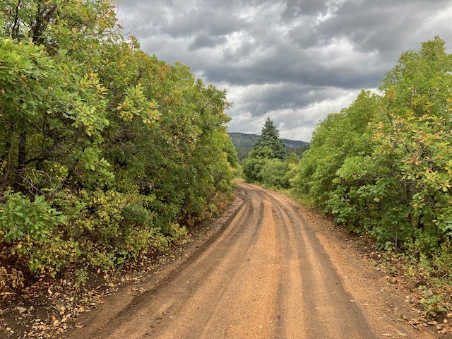 Tract 1 La Sierra Road, Holman, New Mexico image 11