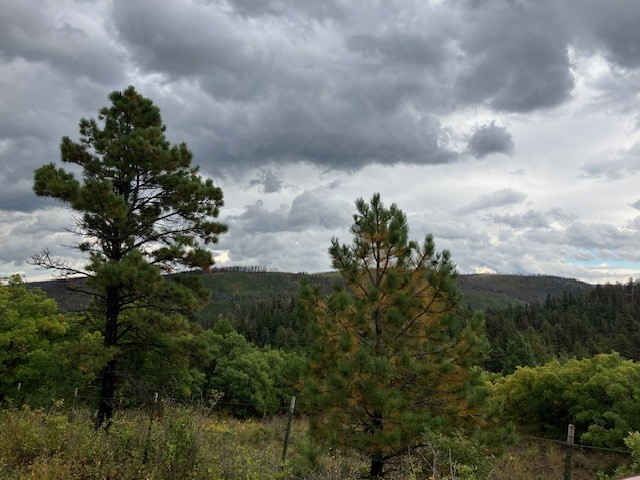 Tract 1 La Sierra Road, Holman, New Mexico image 17