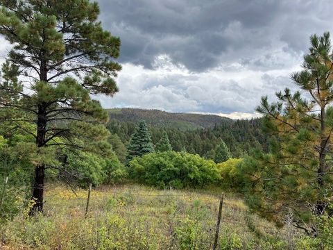 Vacant Land For Sale - TRACT 1 La Sierra Road<br/> Mora County, Holman, NM 87723