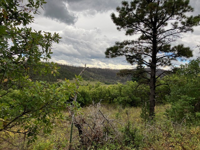 Tract 1 La Sierra Road, Holman, New Mexico image 15