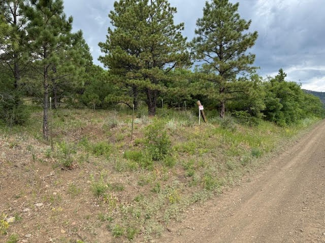 Tract 1 La Sierra Road, Holman, New Mexico image 6