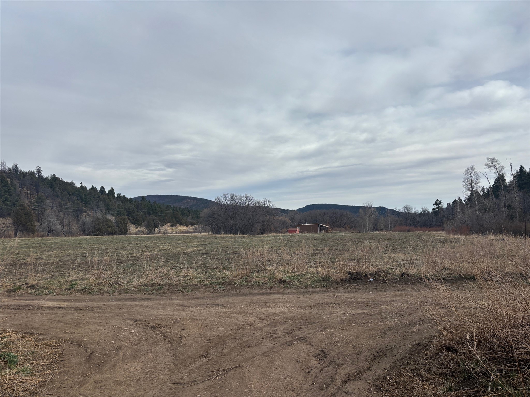 78 County B022 Road, Cleveland, New Mexico image 24