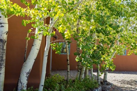 Tiny photo for 12 Traviesa De Camilo E, Santa Fe, NM 87508 (MLS # 202604116)