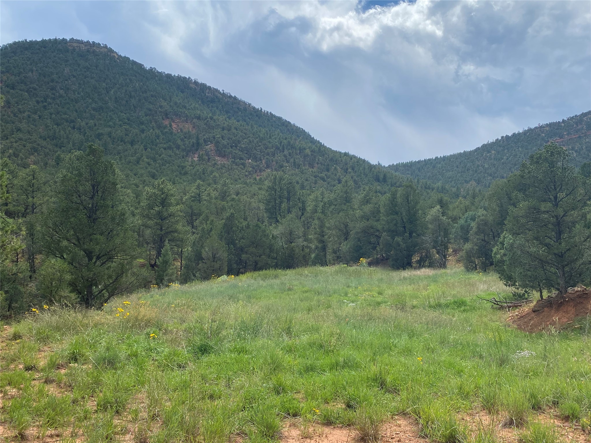 28 (Lot 1) The Cliffs, Glorieta, New Mexico image 3