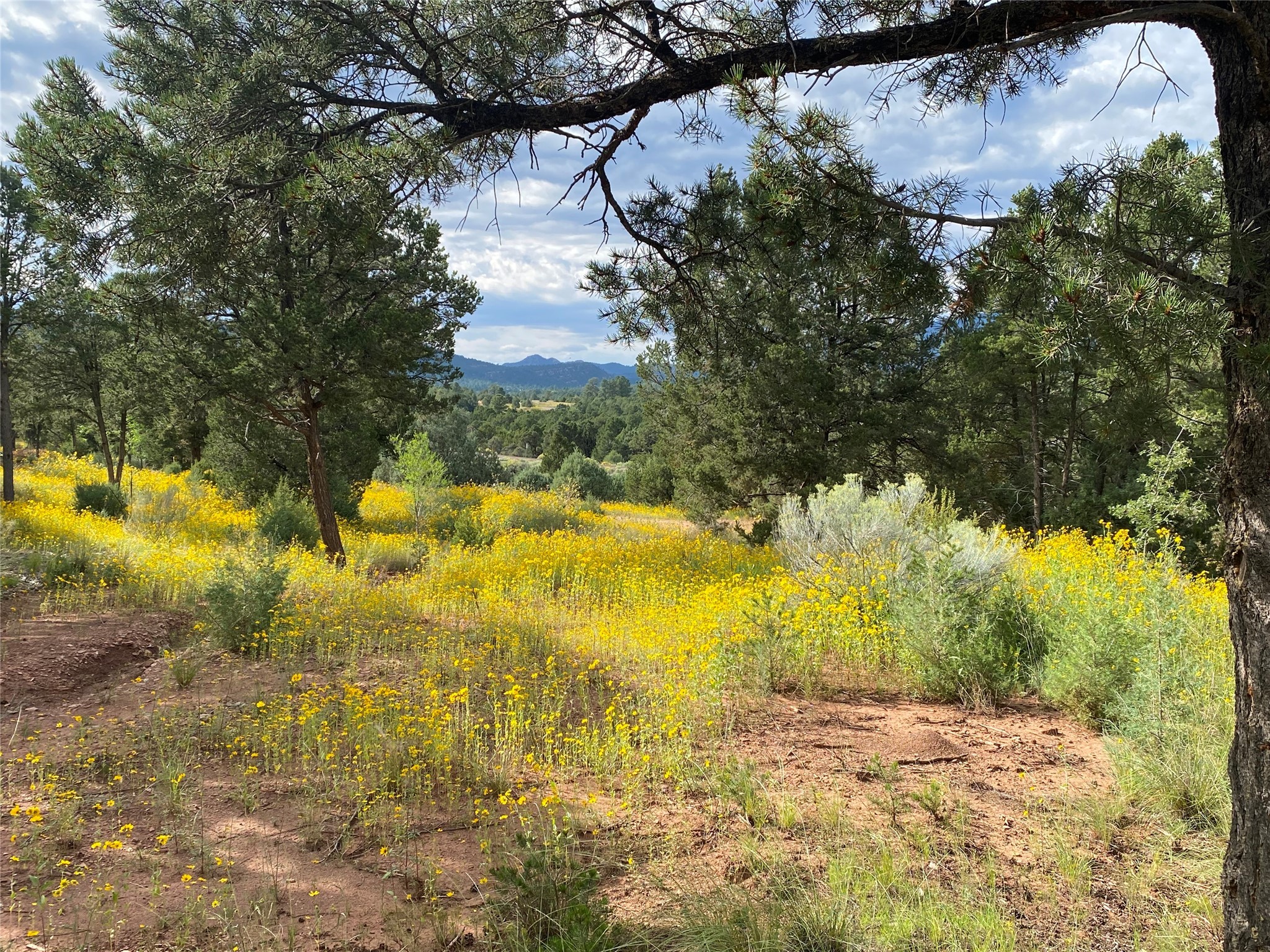 28 (Lot 1) The Cliffs, Glorieta, New Mexico image 8
