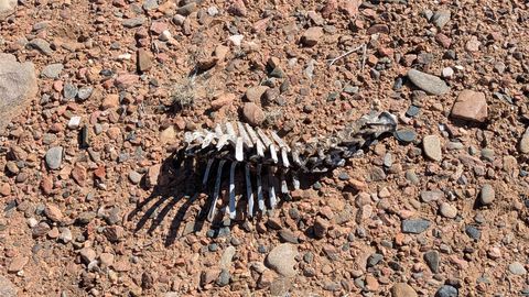 Tiny photo for 50 Haozous Road, Santa Fe, NM 87508 (MLS # 202601253)