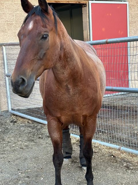 Tiny photo for 20 Vaquero Road, Santa Fe, NM 87508 (MLS # 202504654)