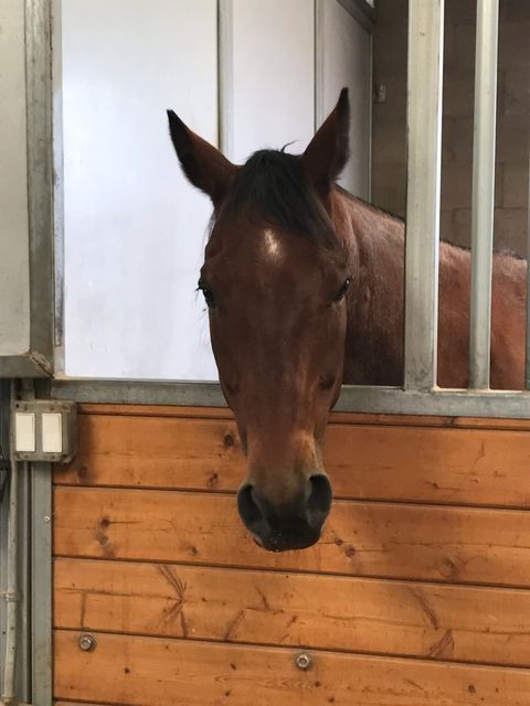 Tiny photo for 20 Vaquero Road, Santa Fe, NM 87508 (MLS # 202504654)