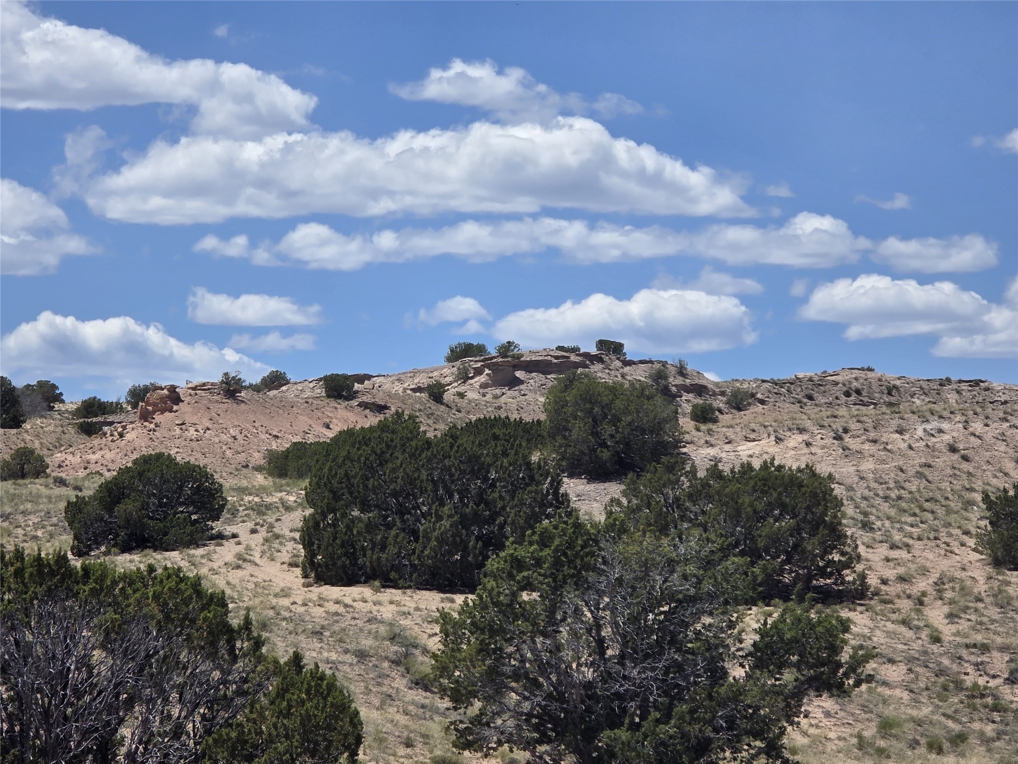 13 Los Amigos, Espanola, New Mexico image 17