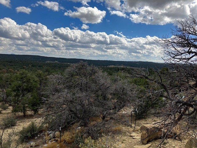 353 Shade Tree Lane, Ramah, New Mexico image 10