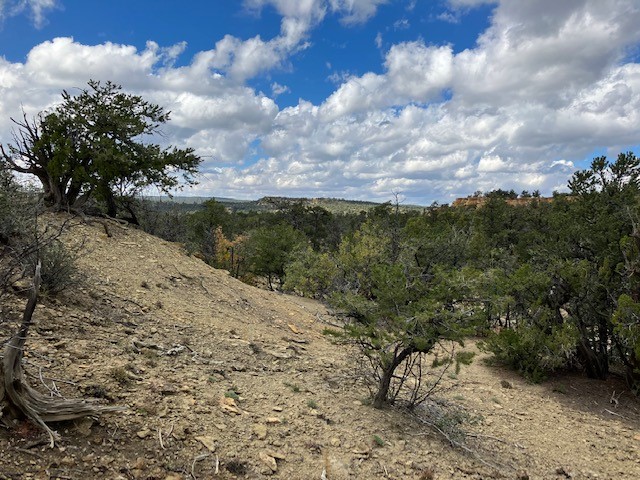 353 Shade Tree Lane, Ramah, New Mexico image 12