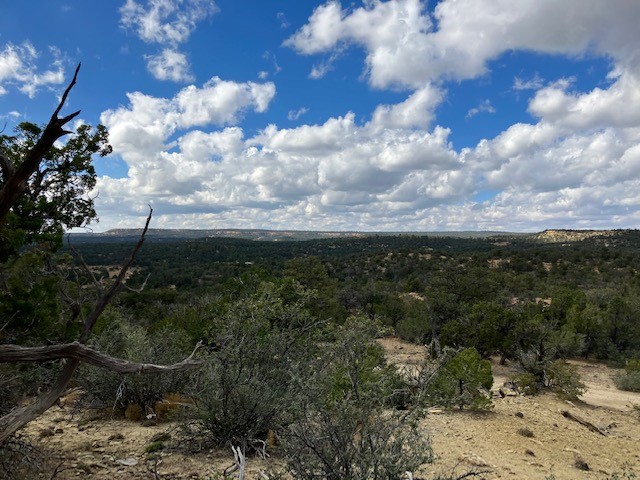 353 Shade Tree Lane, Ramah, New Mexico image 7