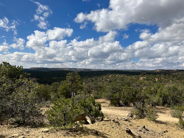 353 Shade Tree Lane, Ramah, New Mexico image 3