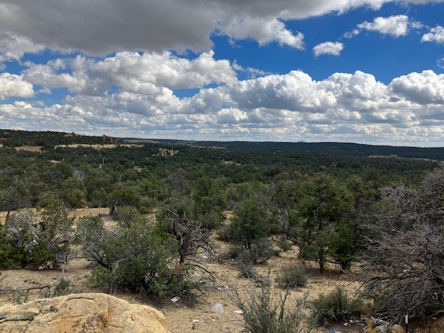 353 Shade Tree Lane, Ramah, New Mexico image 9