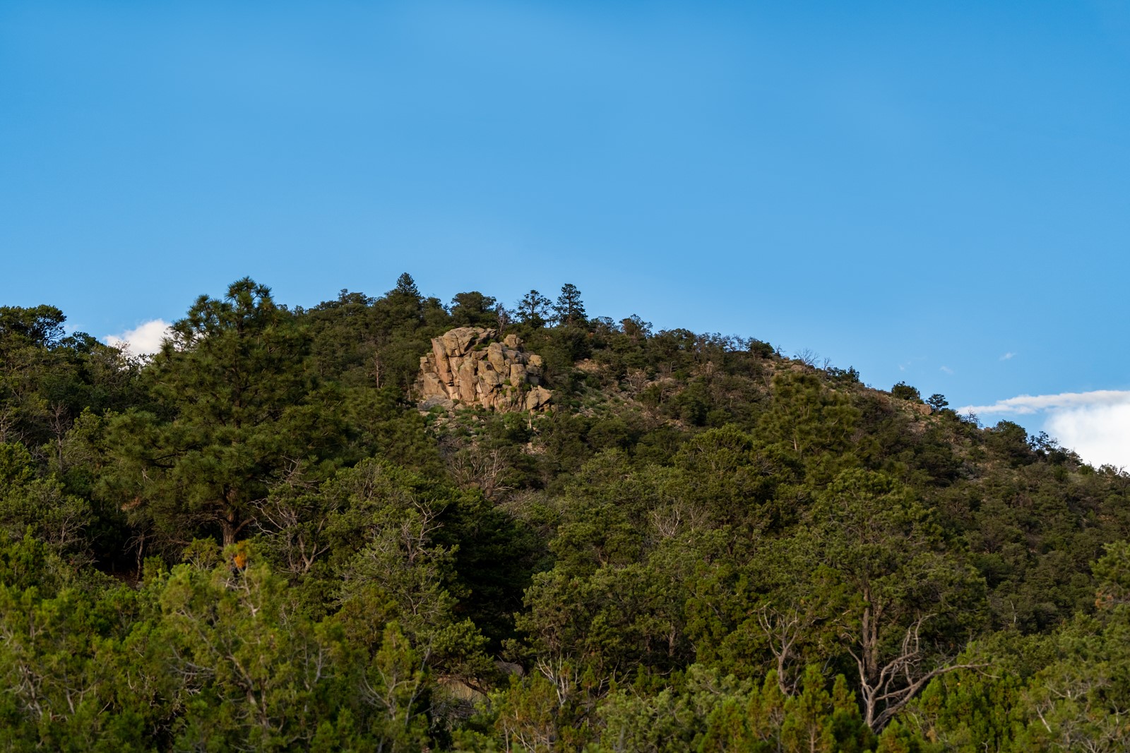 1125 E Ridge Rd, Santa Fe, New Mexico image 36