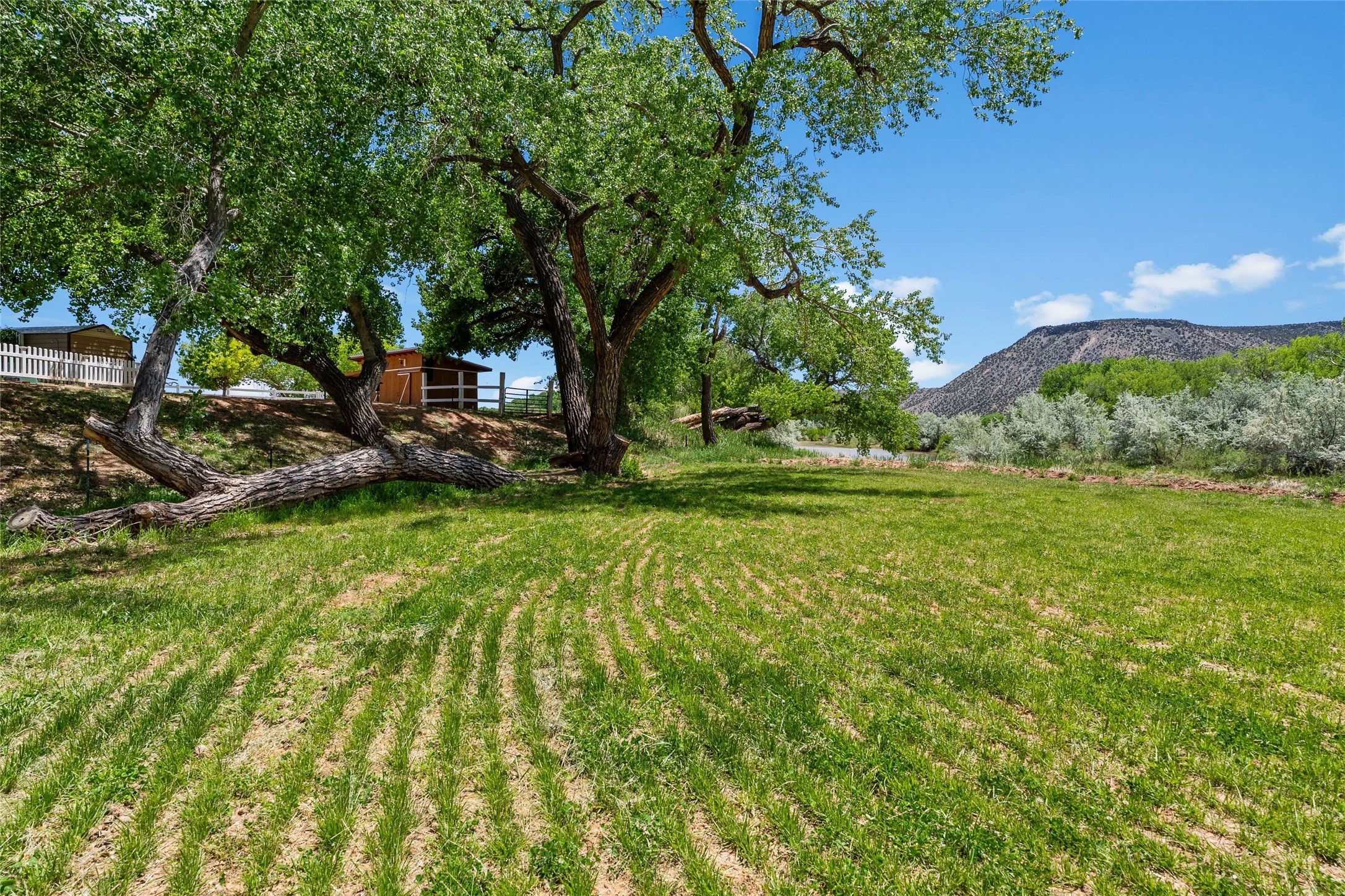 425 County Road 155, Abiquiu, New Mexico image 34