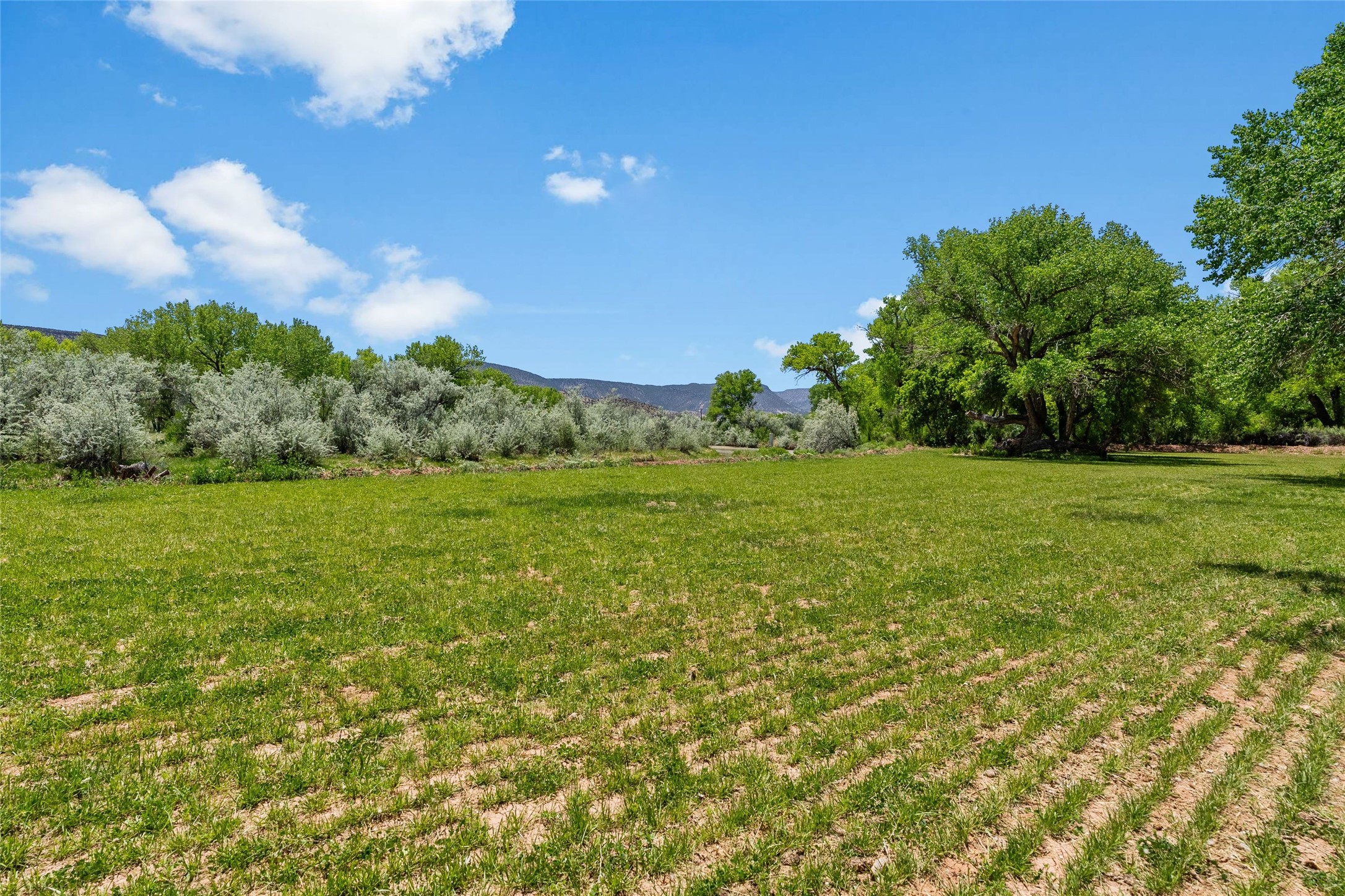 425 County Road 155, Abiquiu, New Mexico image 29