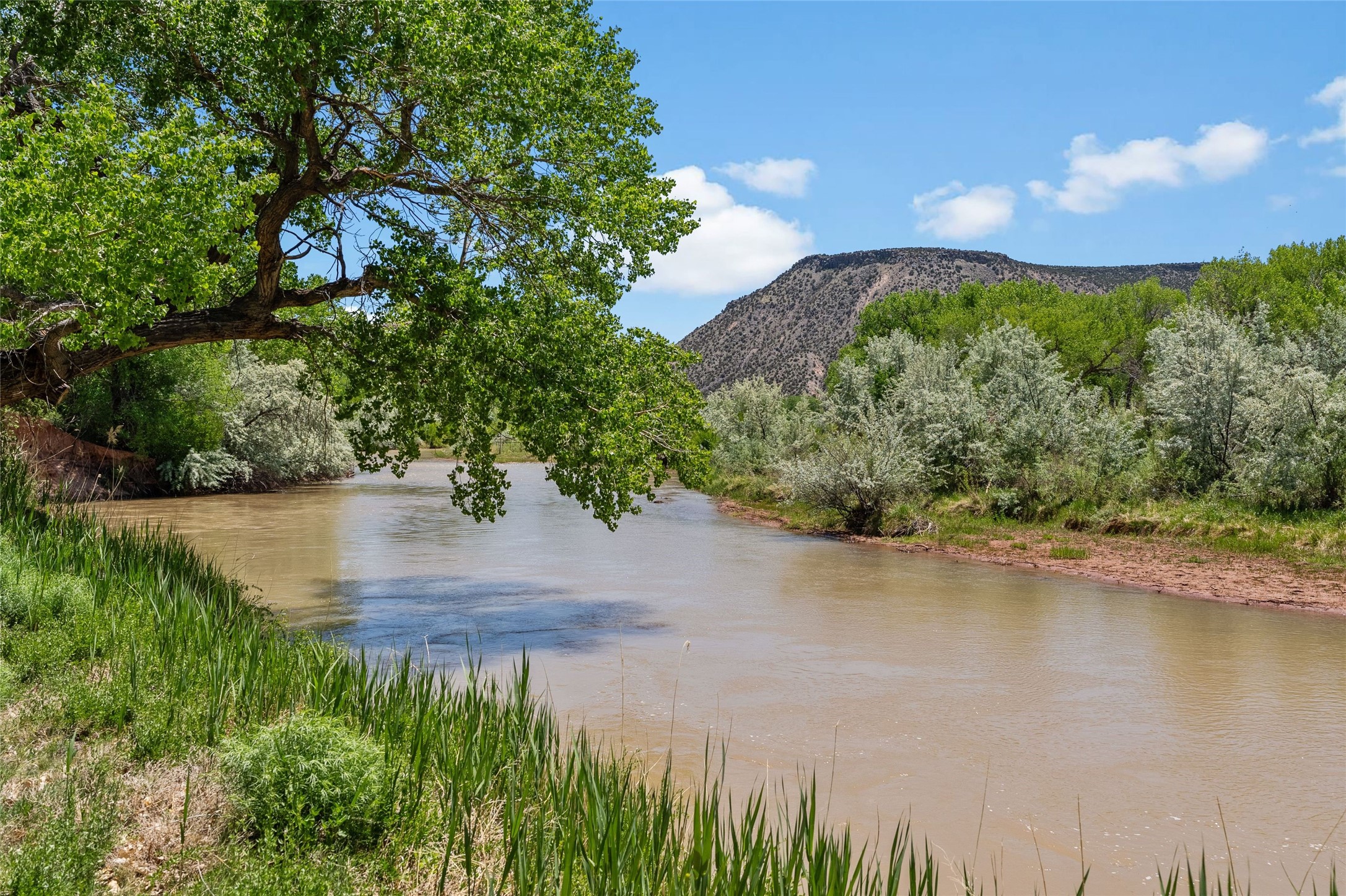 425 County Road 155, Abiquiu, New Mexico image 4