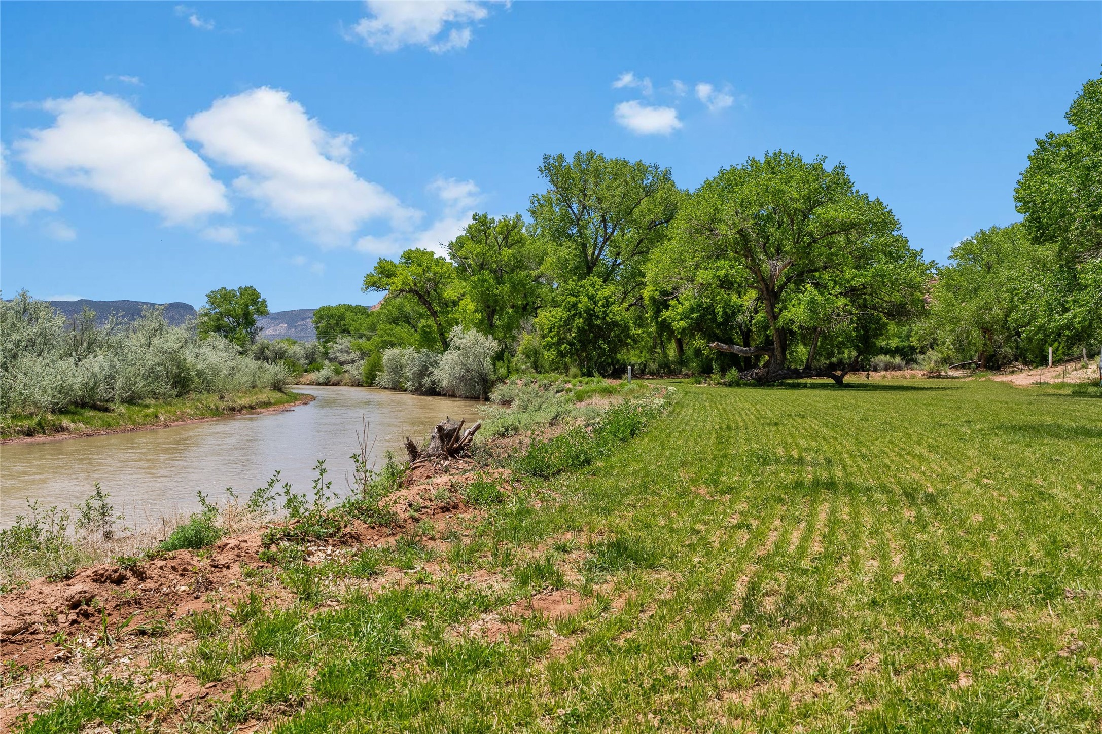 425 County Road 155, Abiquiu, New Mexico image 31