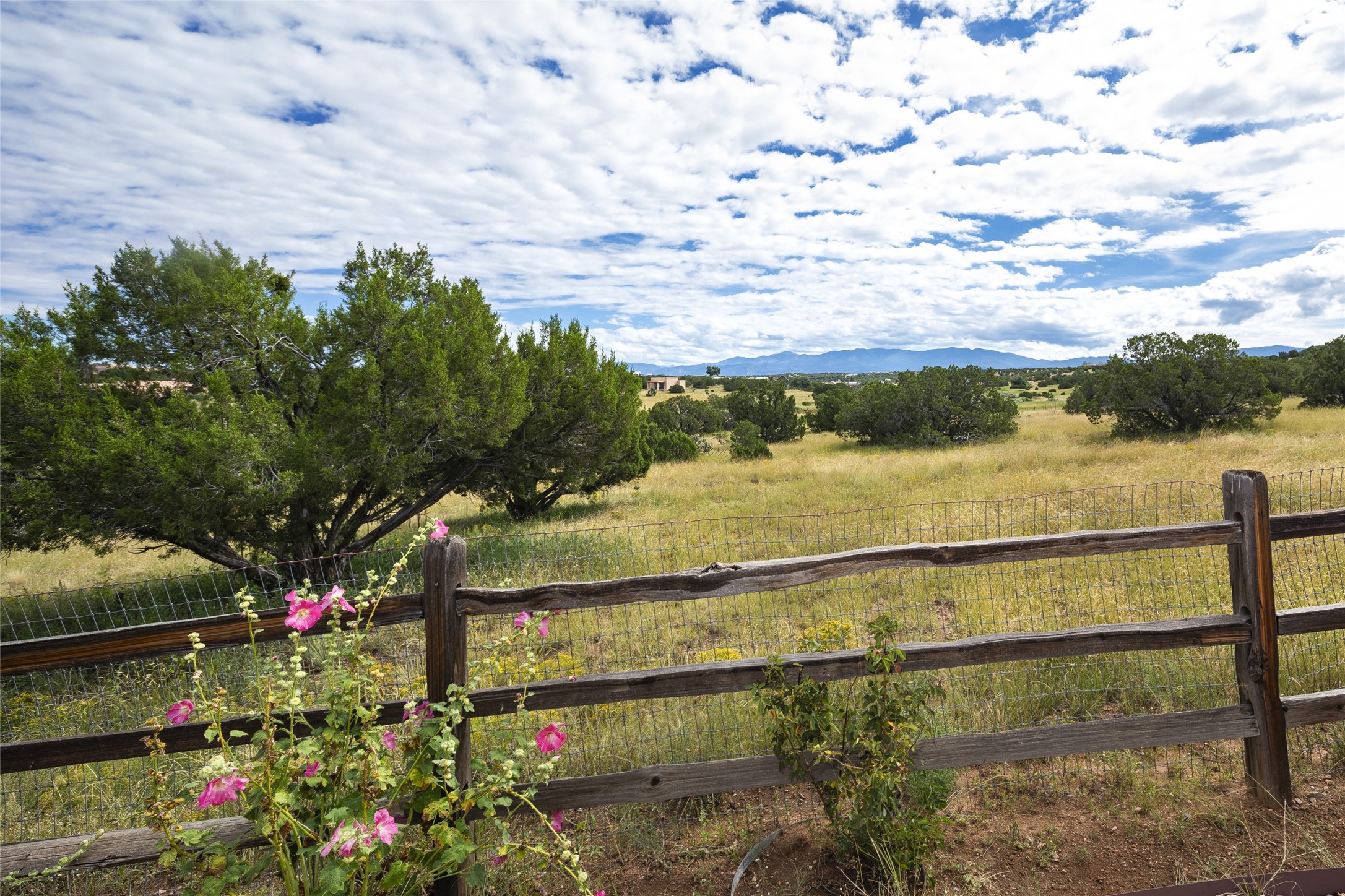 5 Desert Rain, Santa Fe, New Mexico image 46