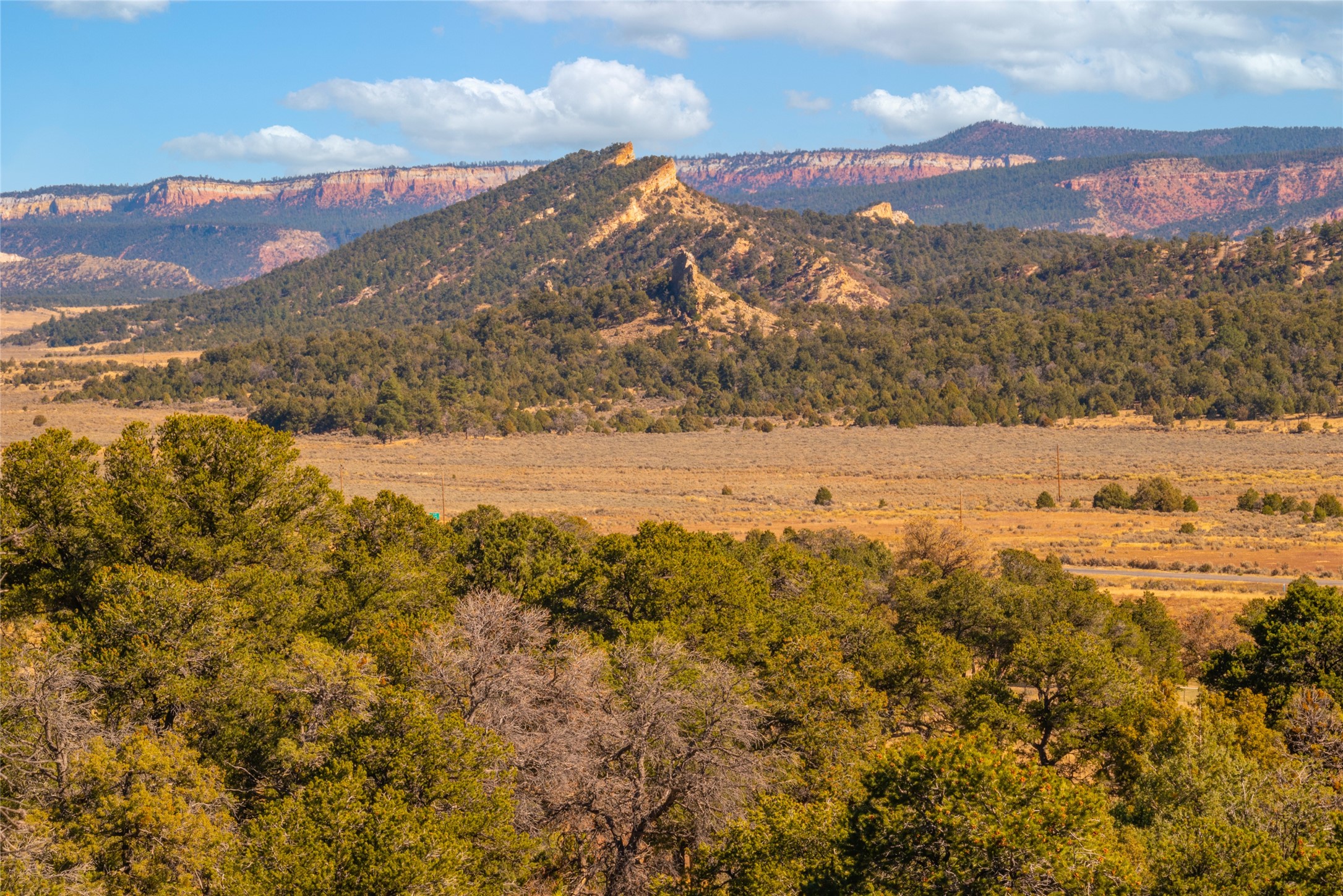 1177 State Hwy 96, Regina, New Mexico image 44