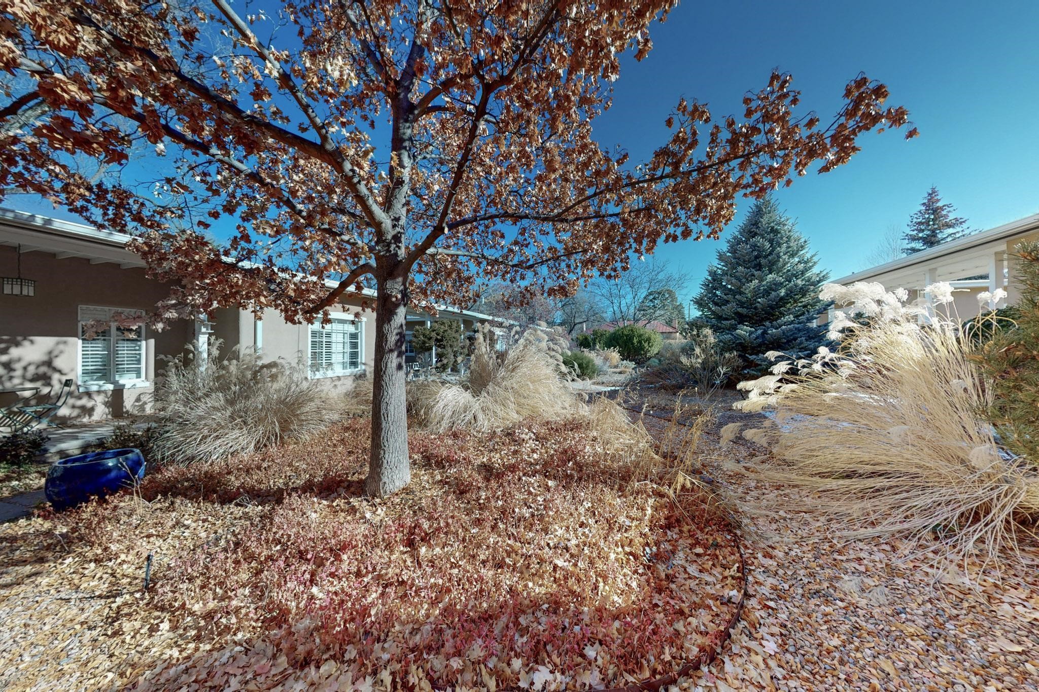 530 Garcia Street #11, Santa Fe, New Mexico image 39