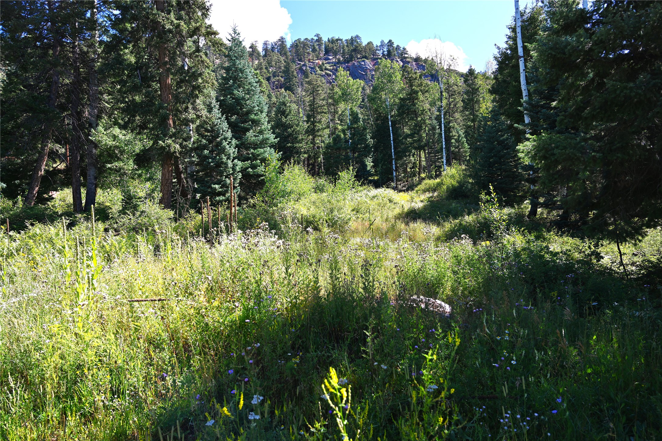 3 Canyons End, Chama, New Mexico image 4