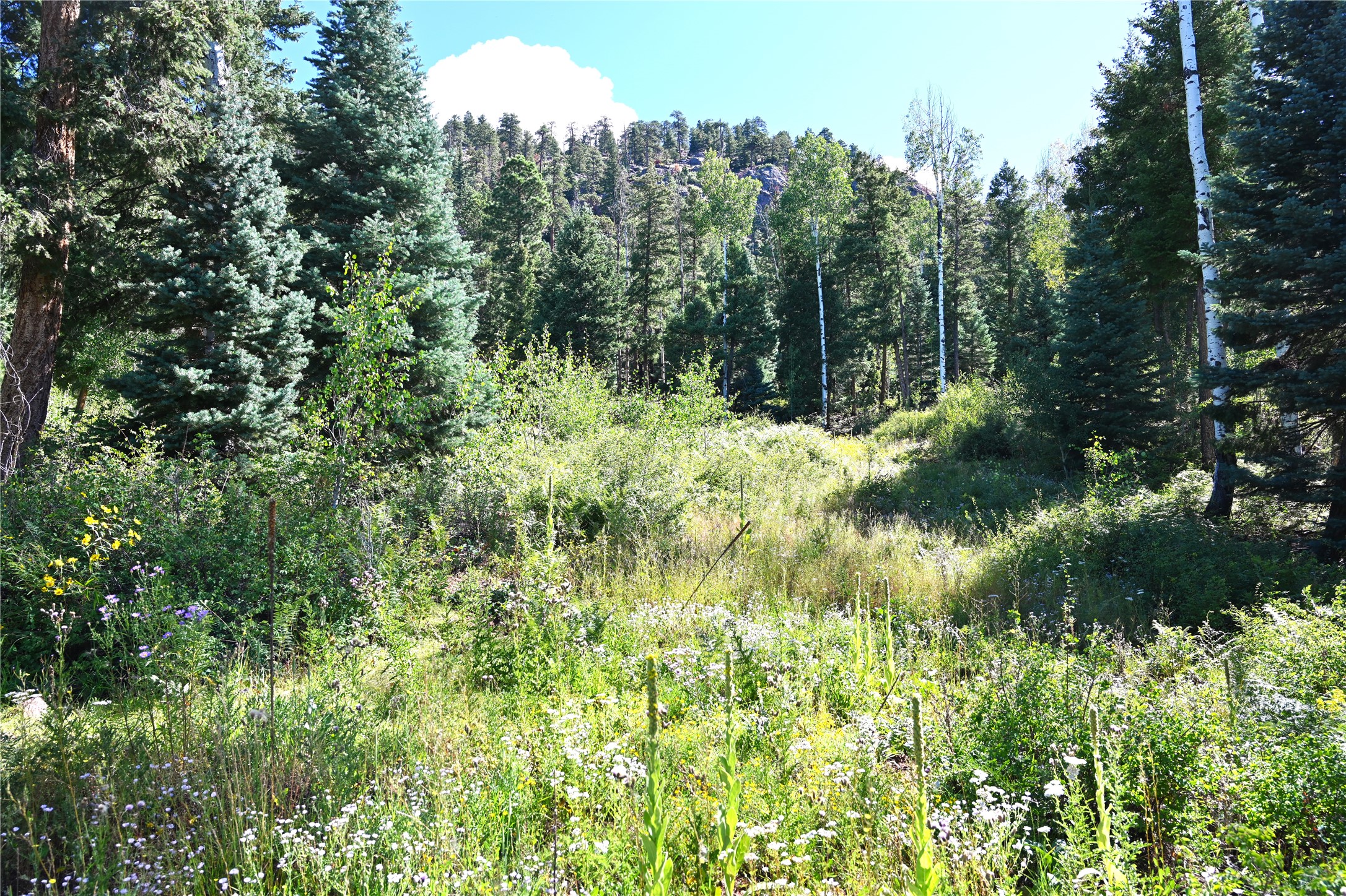 3 Canyons End, Chama, New Mexico image 5