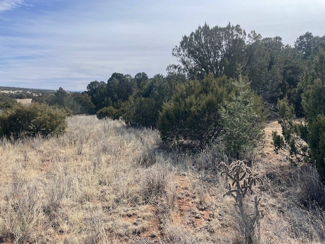 13.27 Acres Cielo Azul, Rowe, New Mexico image 25