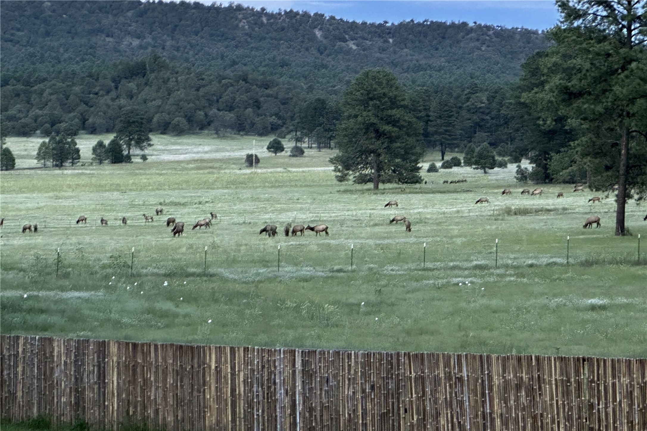 101 & 200 Meadow Lane- Sky Fire Ranch, Mimbres, New Mexico image 8