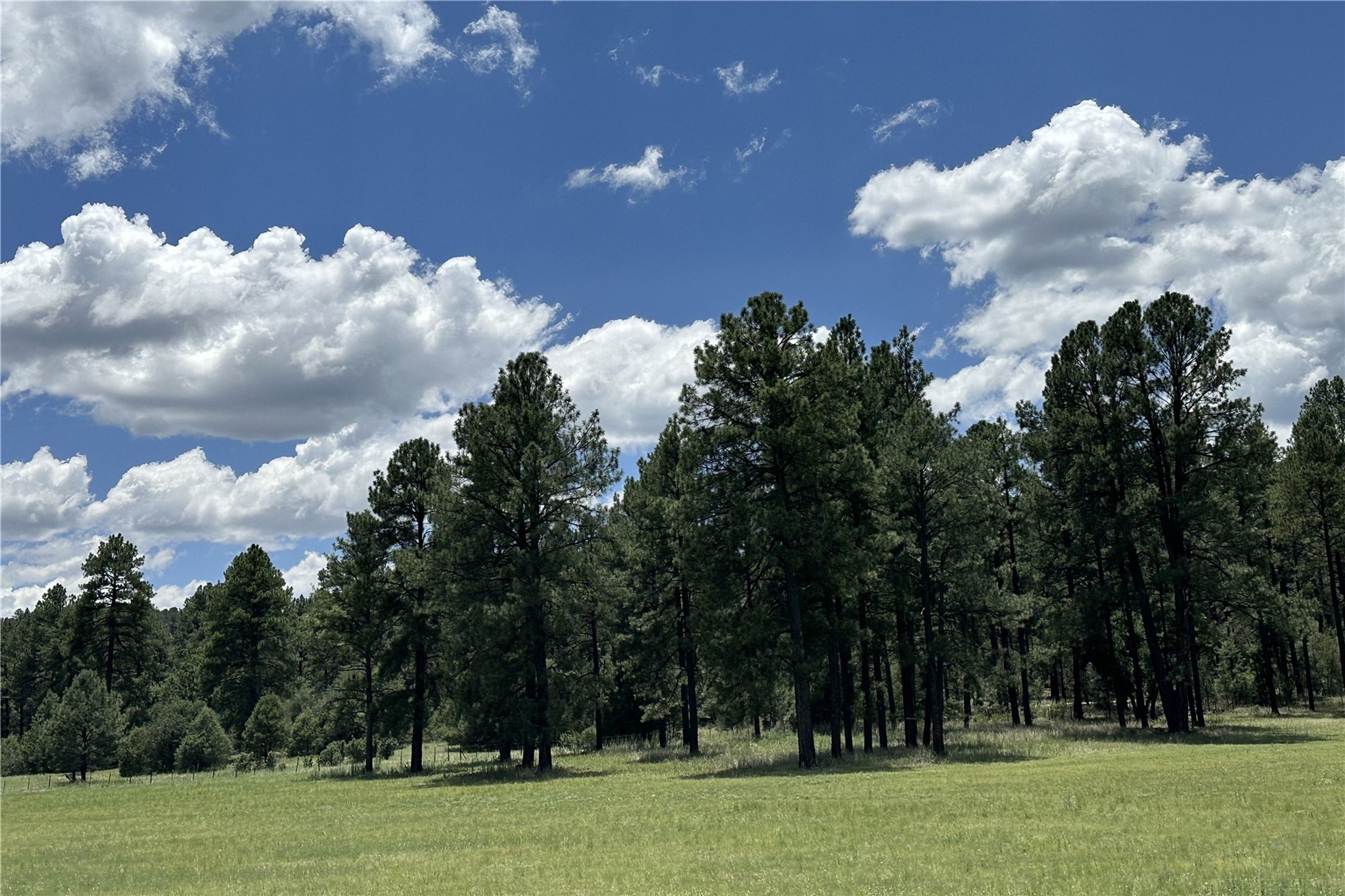 101 & 200 Meadow Lane- Sky Fire Ranch, Mimbres, New Mexico image 26