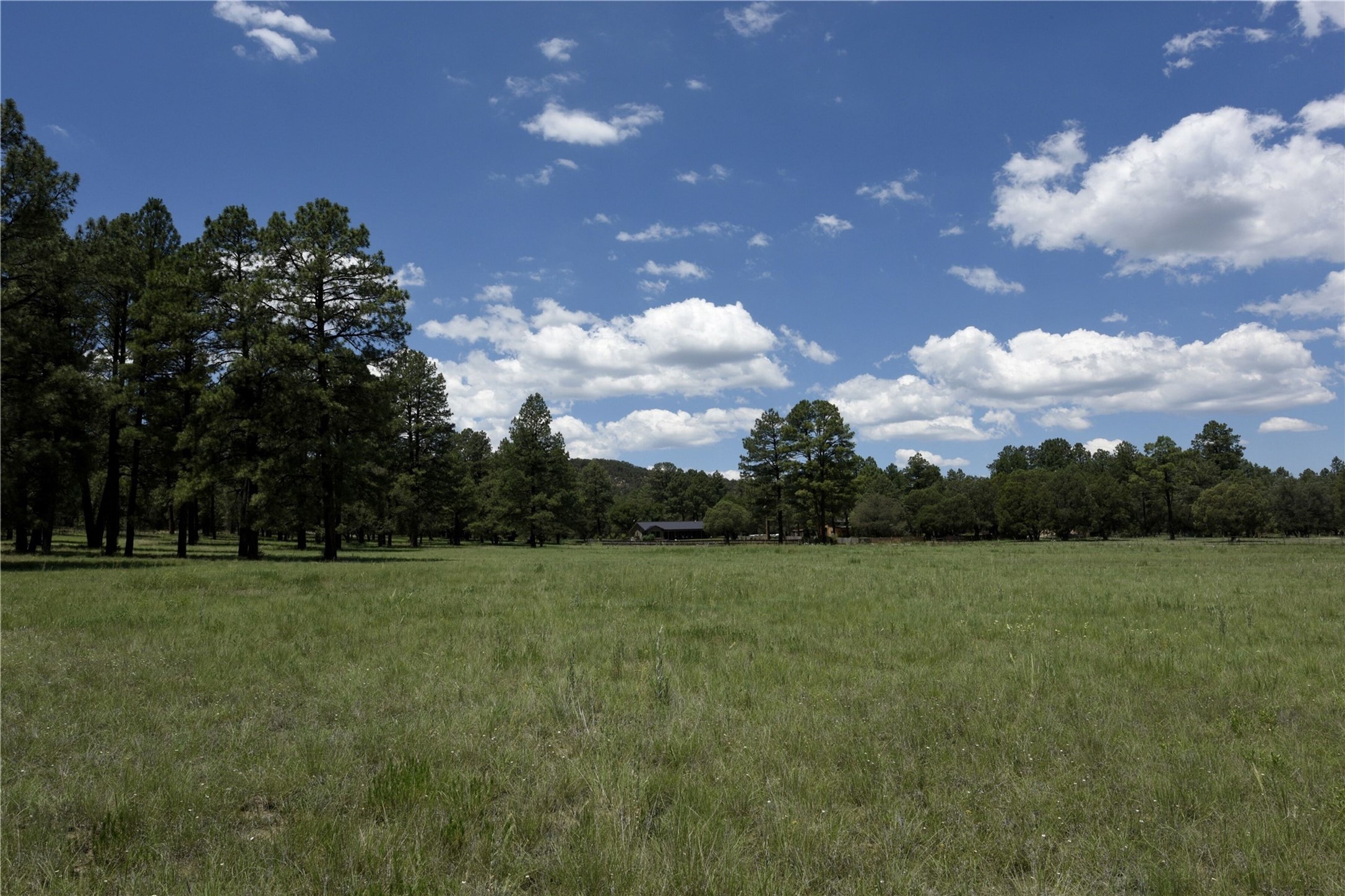 101 & 200 Meadow Lane- Sky Fire Ranch, Mimbres, New Mexico image 13