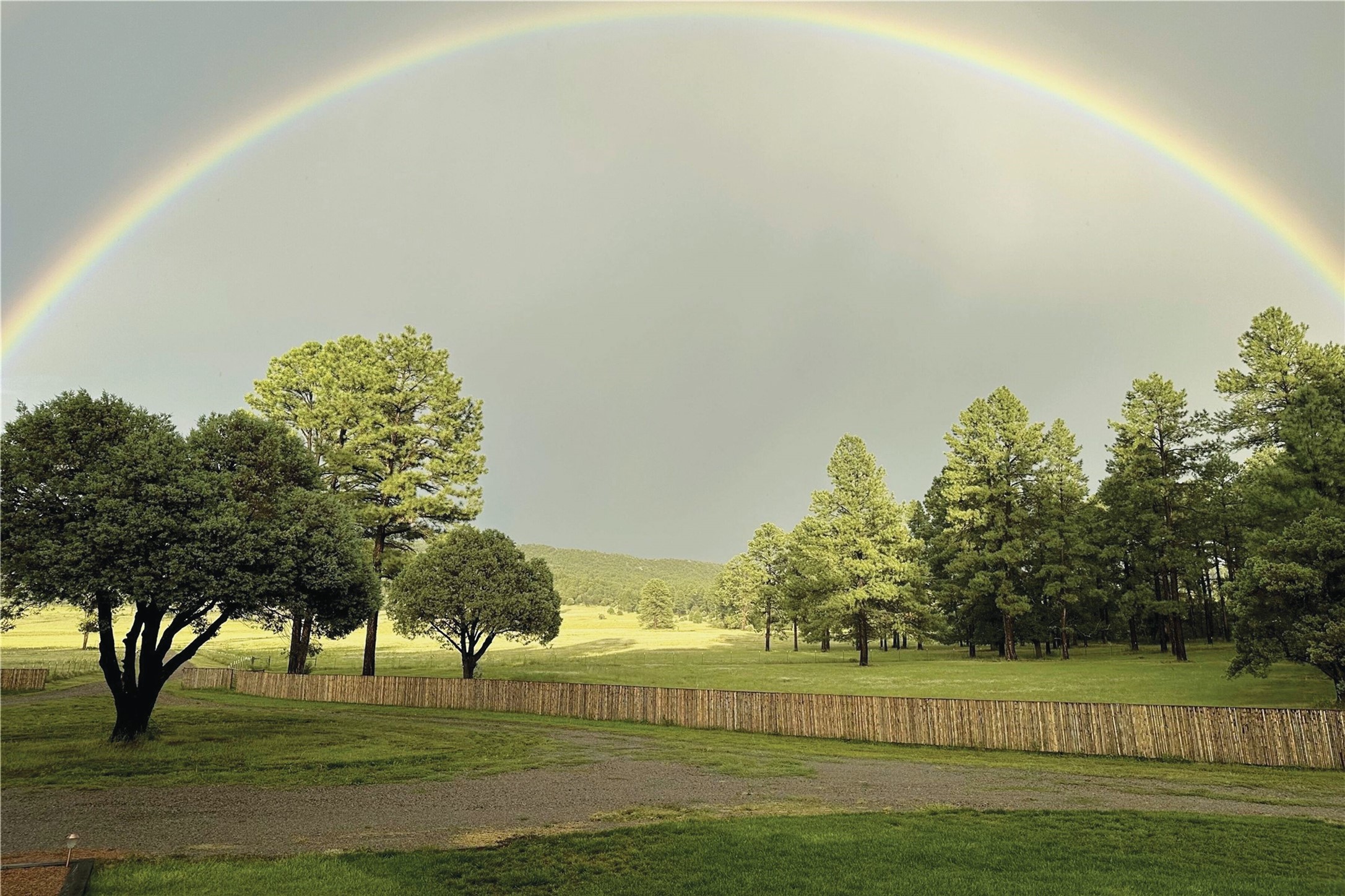 101 & 200 Meadow Lane- Sky Fire Ranch, Mimbres, New Mexico image 7