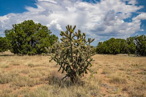 Tiny photo for 65 Grenfell Ranch Road Rd, Cerrillos, NM 87010 (MLS # 202503890)