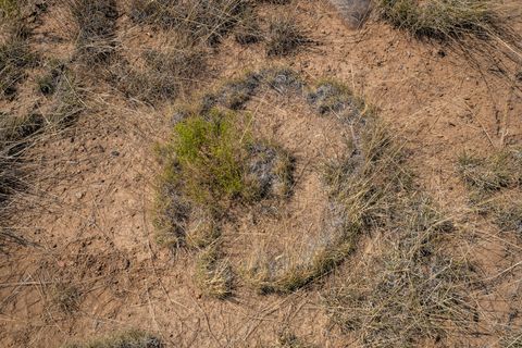 Tiny photo for 65 Grenfell Ranch Road Rd, Cerrillos, NM 87010 (MLS # 202503890)