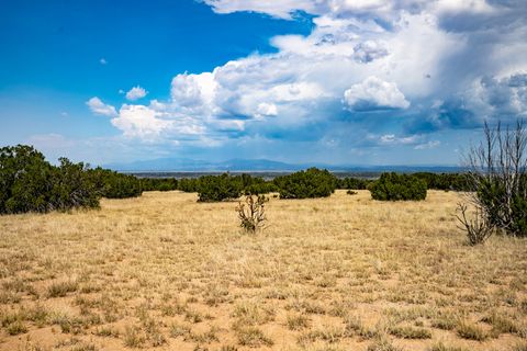 Tiny photo for 65 Grenfell Ranch Road Rd, Cerrillos, NM 87010 (MLS # 202503890)