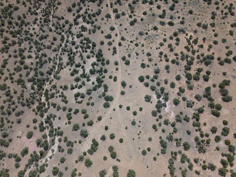 Tiny photo for 65 Grenfell Ranch Road Rd, Cerrillos, NM 87010 (MLS # 202503890)