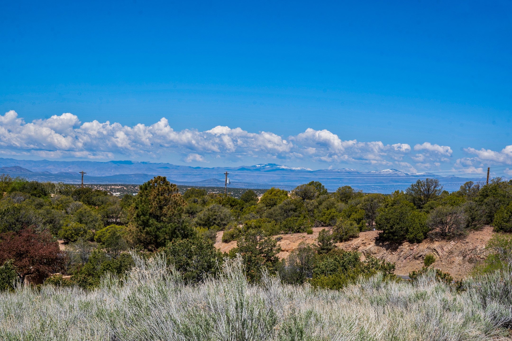 1421 Canada Del Sur, Santa Fe, New Mexico image 6