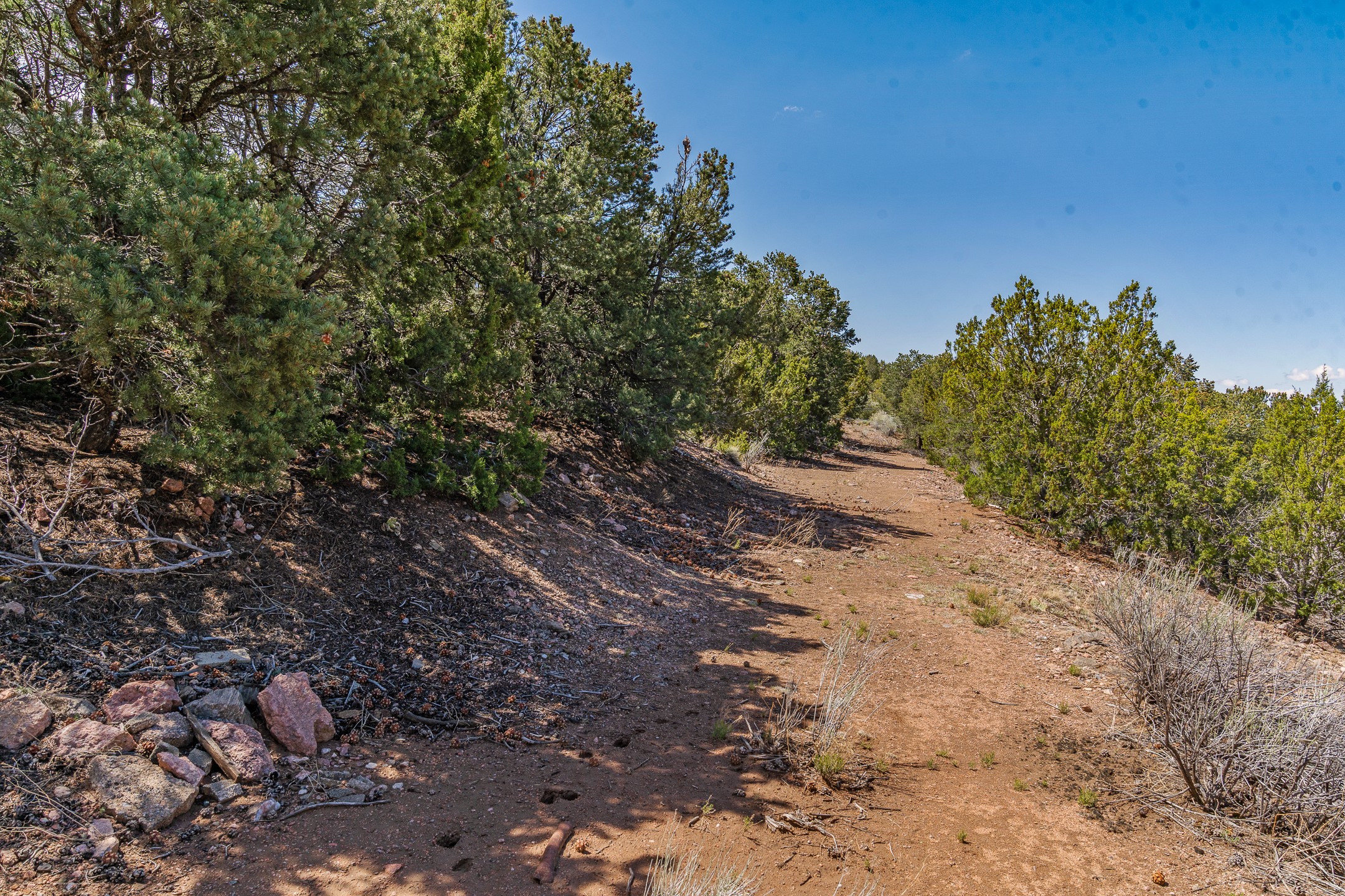 1421 Canada Del Sur, Santa Fe, New Mexico image 13