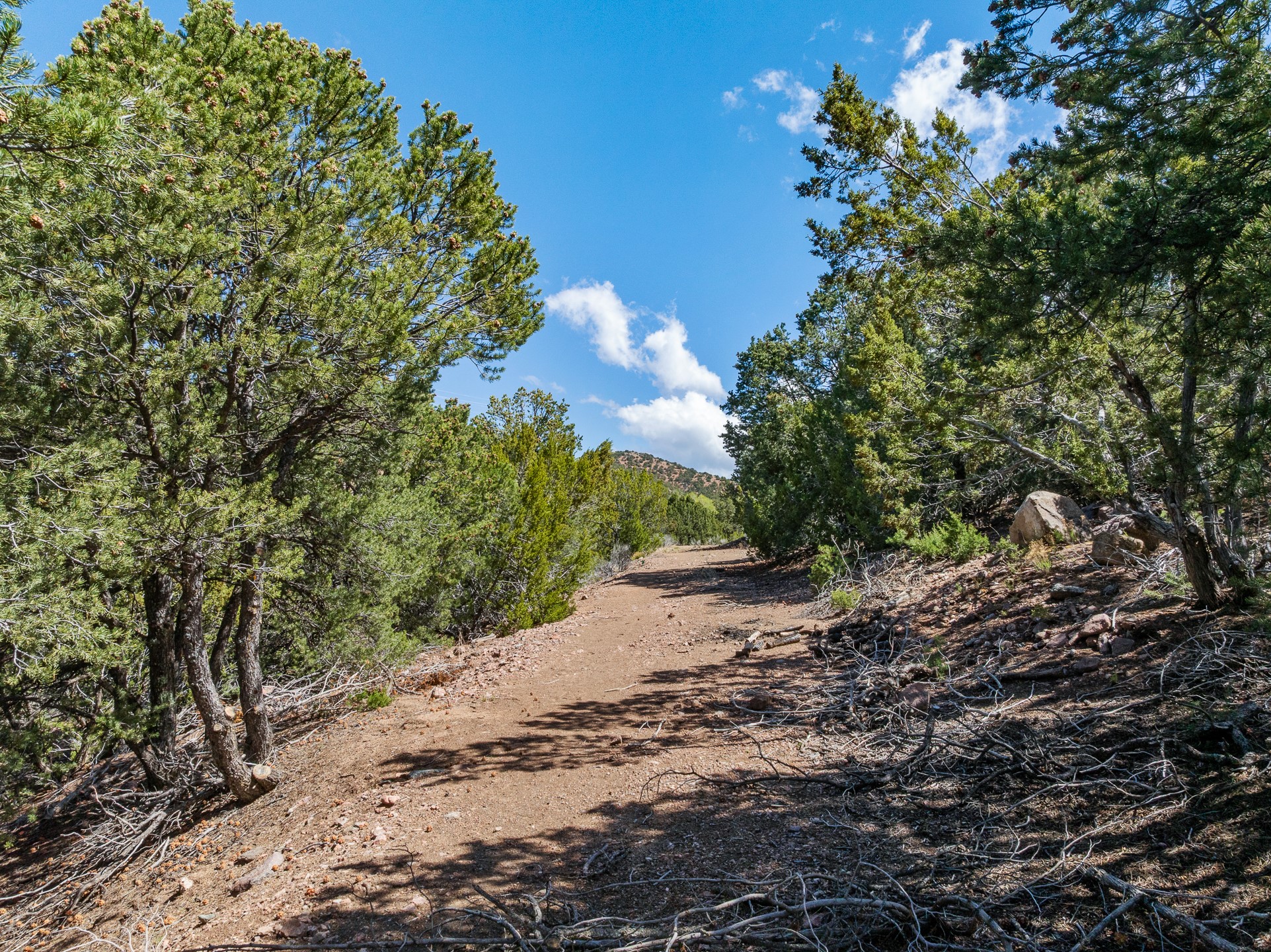 1421 Canada Del Sur, Santa Fe, New Mexico image 9