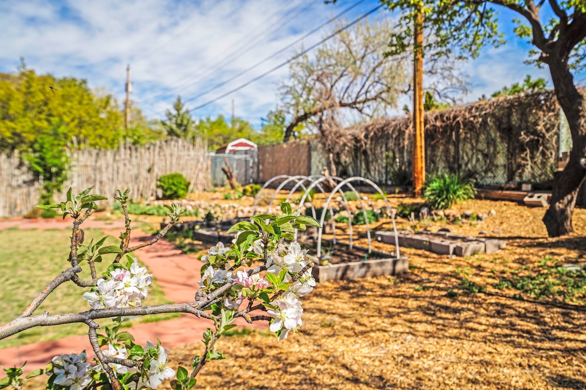 1115 Plata Circle, Santa Fe, New Mexico image 41