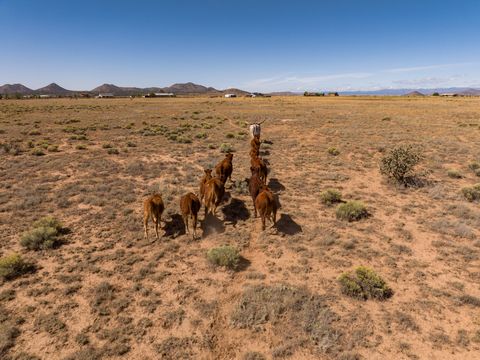 Tiny photo for 4006 NM 14, Santa Fe, NM 87508 (MLS # 202600390)