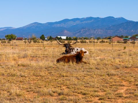 Tiny photo for 4006 NM 14, Santa Fe, NM 87508 (MLS # 202600390)