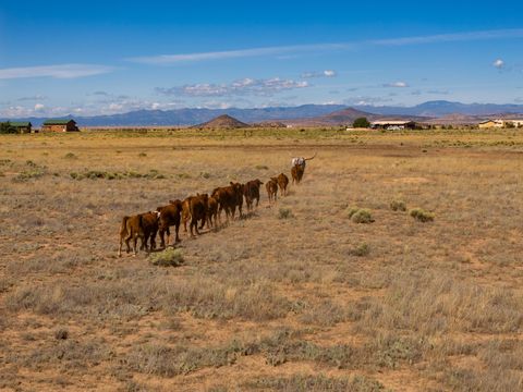 Tiny photo for 4006 NM 14, Santa Fe, NM 87508 (MLS # 202600390)