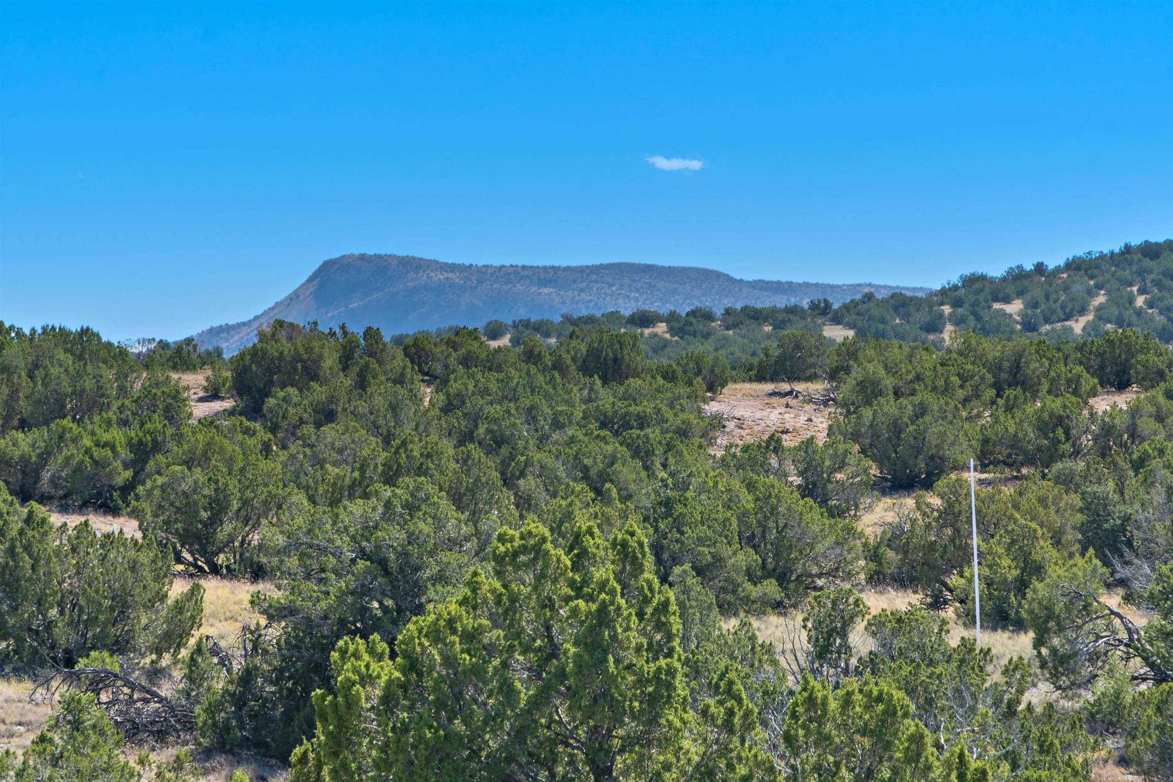 84 West Basin Ridge, Lamy, New Mexico image 12